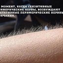 ���� ��������, �����������, 56 ��� - ��������� 12 ������� 2015 � ������ ���� ����������