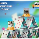 ���� �������, ������� - ��������� 6 ������� 2016 � ������ �������� �������-�������