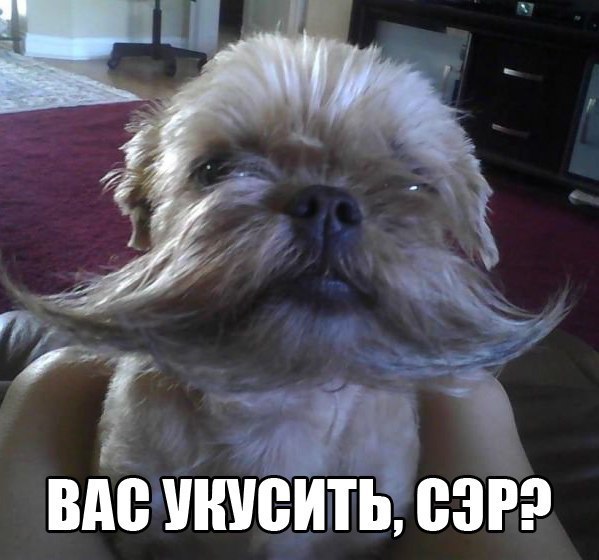 ����� ������� - 15 ������ 2016 � 04:19