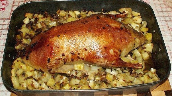 Как можно приготовить утку. Утка с грибами в духовке. утка с грибами и картошкой. приготовить утку в духовке с картошкой. приготовить утку в духовке разделанную.