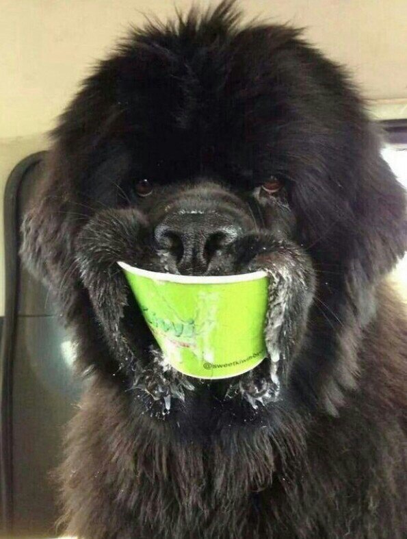 ������������. ���� � ������� - 5