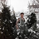 ���� ����, �������, 73 ���� - ��������� 8 ������ 2016 � ������ ���� ����������