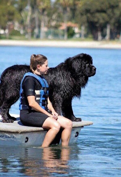 ������������. ���� � ������� - 3