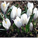 ���� �����, �����������, 60 ��� - ��������� 1 ����� 2016 � ������ ������ ��������