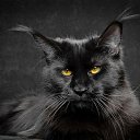 ���� �������, ������, 47 ��� - ��������� 3 ����� 2016 � ������ ���� ����������