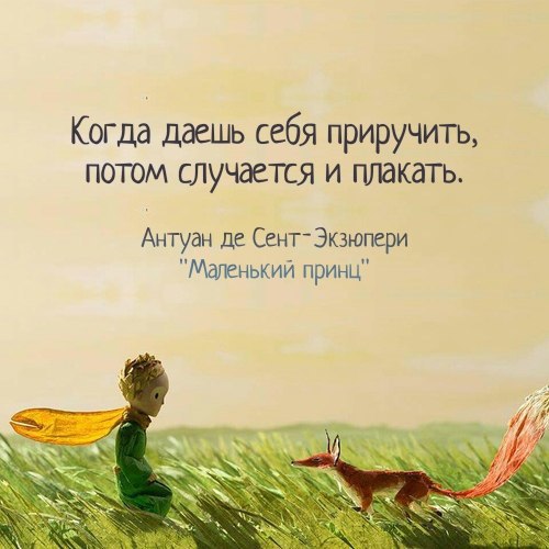 ,   - 4  2016  22:53
