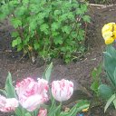 ���� ����� ����, ������-��-���� - ��������� 8 ����� 2016 � ������ ���� ����������