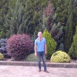 ������, ������