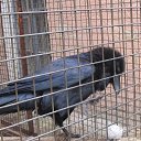 ���� ����, ����, 54 ���� - ��������� 2 ������� 2016 � ������ ���� ����������