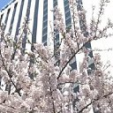 ���� U-jin, ������, 54 ���� - ��������� 28 ������� 2016 � ������ ��������