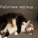 ���� �����, ������, 46 ��� - ��������� 26 ������� 2015 � ������ ���� ����������