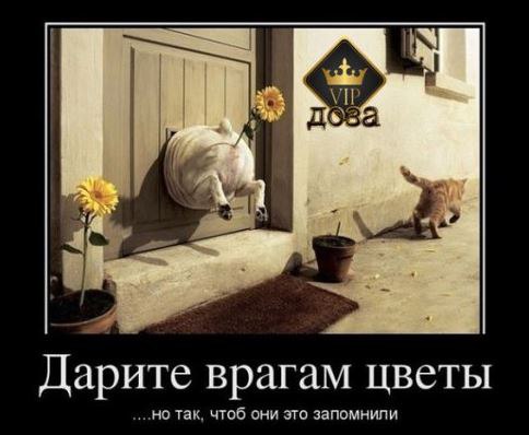 Белоснежка - 4 февраля 2016 в 20:32