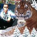 ���� �����, ����-���� - ��������� 14 ������� 2016 � ������ ���� ����������