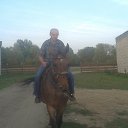 ���� ���������, ����, 38 ��� - ��������� 5 ������� 2015 � ������ ���� ����������