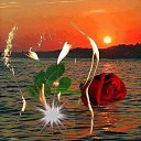 ���� ����, �����������, 44 ���� - ��������� 14 ������� 2015 � ������ ���� ����������