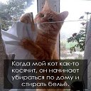 ���� ������, ������, 64 ���� - ��������� 9 ������� 2015 � ������ ������ ��������
