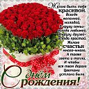 ���� ����, �����, 43 ���� - ��������� 1 ������� 2016 � ������ ������ ��������