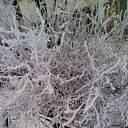 ���� ������, �����-��������� - ��������� 20 ������ 2016 � ������ ������� ���������