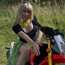 ���� ����, ����������, 41 ��� - ��������� 17 ������� 2016 � ������ ���� ����������