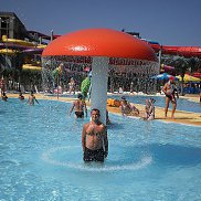 ���������, 49 ���, �����������