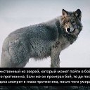 ���� (Sedoy) Arut, ������, 69 ��� - ��������� 16 ������� 2016 � ������ ���� ����������
