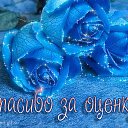 ���� ����, ������� - ��������� 12 ������� 2016 � ������ ������ ��������