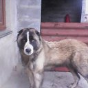 ���� �����, ������ - ��������� 28 ������ 2015 � ������ ���� ����������