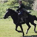 ���� �����, ���������, 48 ��� - ��������� 9 ������ 2016 � ������ ���� ����������