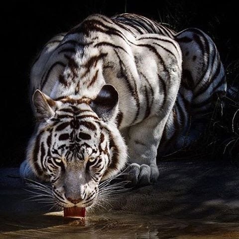 Look at this... 🌏 - 9 ������ 2015 � 07:32