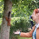 ���� �������, ����� - ��������� 9 ������� 2015 � ������ ���� ����������