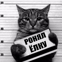 ���� �������, ������ ��������, 30 ��� - ��������� 20 ������� 2016