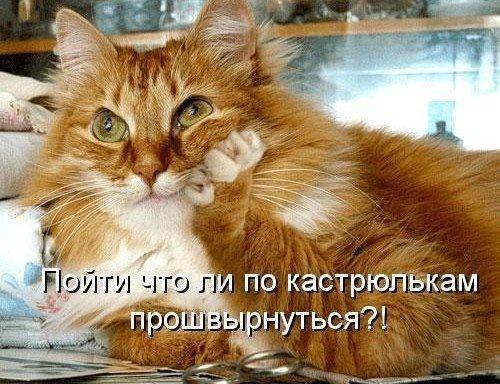 �� ������� �� �����! - 29 ������� 2015 � 22:04