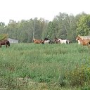 ���� ����� �, �����, 55 ��� - ��������� 14 ������� 2015 � ������ ���� ������