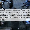 ���� �������, ������ - ��������� 29 ������ 2015 � ������ ������ ��������