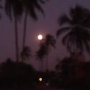 ��� 2015 �� ������� ���� ������� 2015 ���