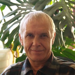 �������, ���������, 68 ���