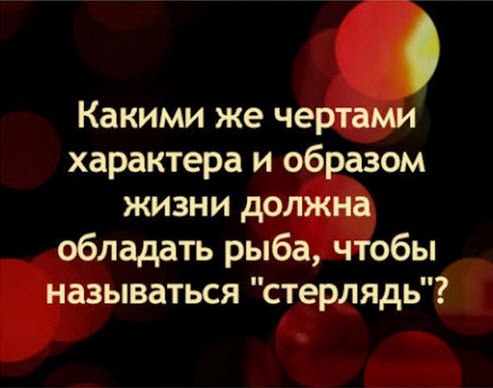 - 28  2015  23:20
