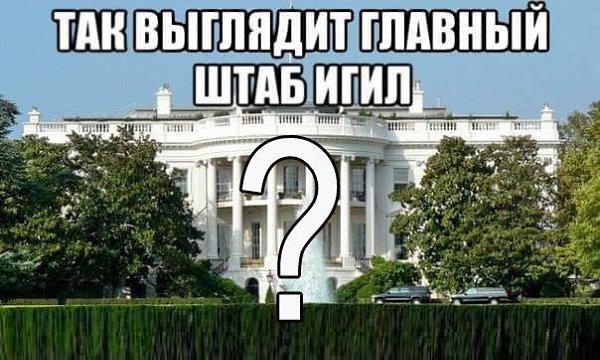 ПОЛИТИКА ДЛЯ