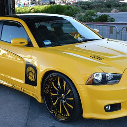 ���� Kok5555, ������, 39 ��� - ��������� 25 ������� 2016