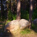 � ���� ���� ������.. �� ������� ���� ����������