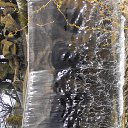 ���� �������, ���������, 63 ���� - ��������� 25 ������� 2015