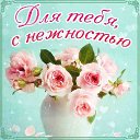 ���� �������, ������, 52 ���� - ��������� 11 ������� 2015 � ������ �������� ��������