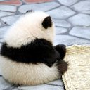 ���� ���, ���������, 44 ���� - ��������� 30 ������� 2015 � ������ ���� ����������