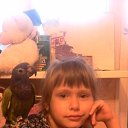 ���� ����, ���������, 43 ���� - ��������� 10 ������ 2015 � ������ ���� ����������