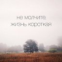���� ��������, ��������, 52 ���� - ��������� 6 ������� 2015 � ������ ������ ��������