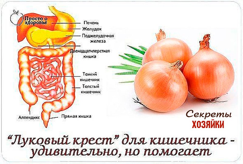 Польза железа для печени. Полезные овощи для кишечника. Фрукты полезные для кишечника. Овощи полезные для желудка и кишечника. Продукты полезные для ЖКТ.