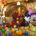 ���� ���, �����-���������, 43 ���� - ��������� 1 ������� 2016 � ������ �������� �������