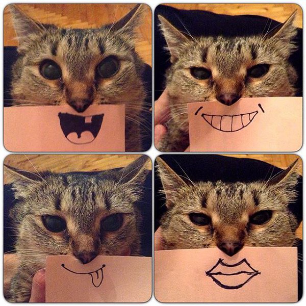 ��� ���� � ����� �� �� - 4 ������� 2015 � 10:31