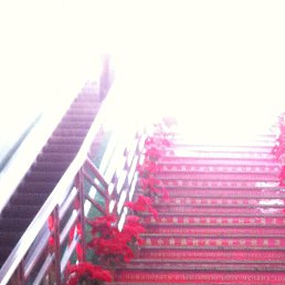 ������, �����������, 47 ���