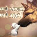 ���� �����, ����������, 65 ��� - ��������� 23 ������� 2015 � ������ �������� ��������